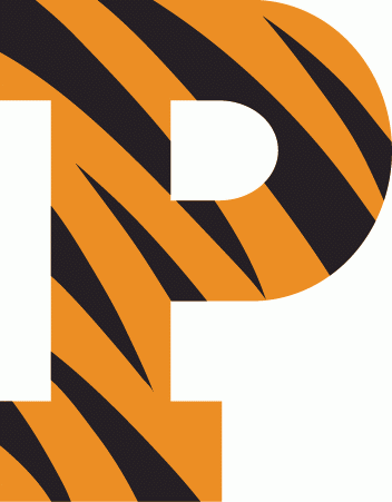 Princeton Tigers 1984-Pres Primary Logo iron on paper